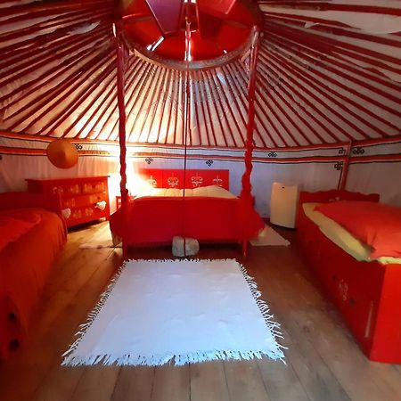 B&B L'Albatros Fayence Exterior foto