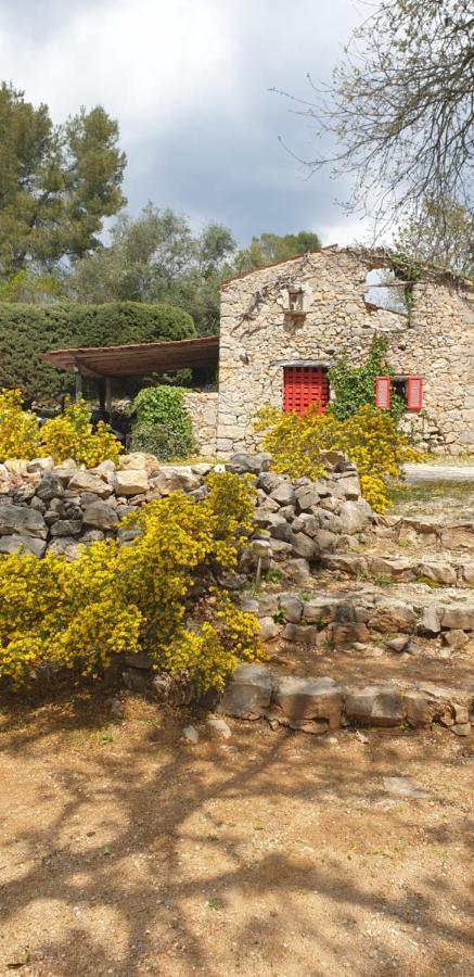 B&B L'Albatros Fayence Exterior foto