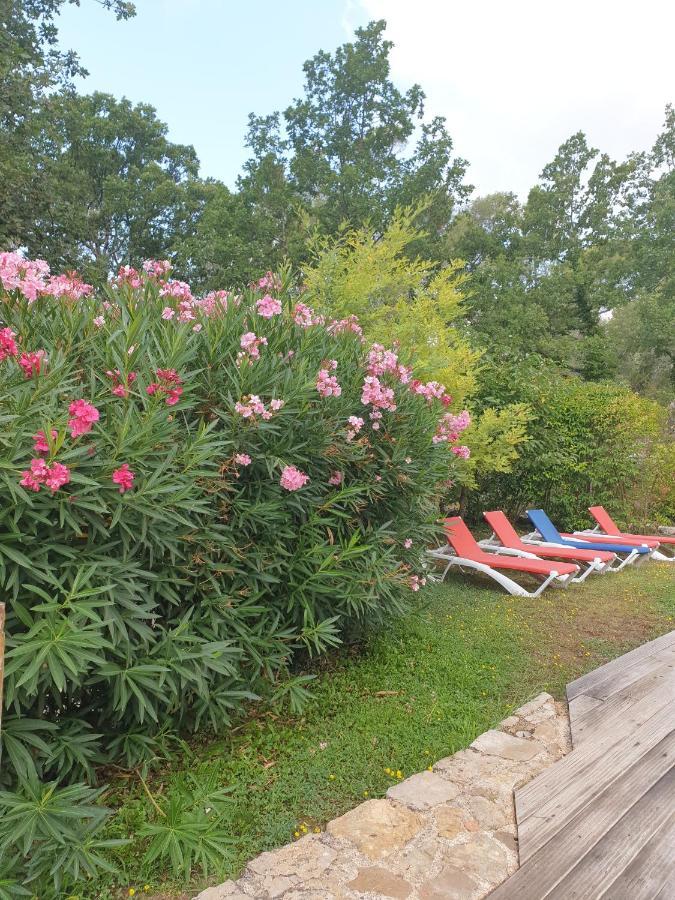 B&B L'Albatros Fayence Exterior foto